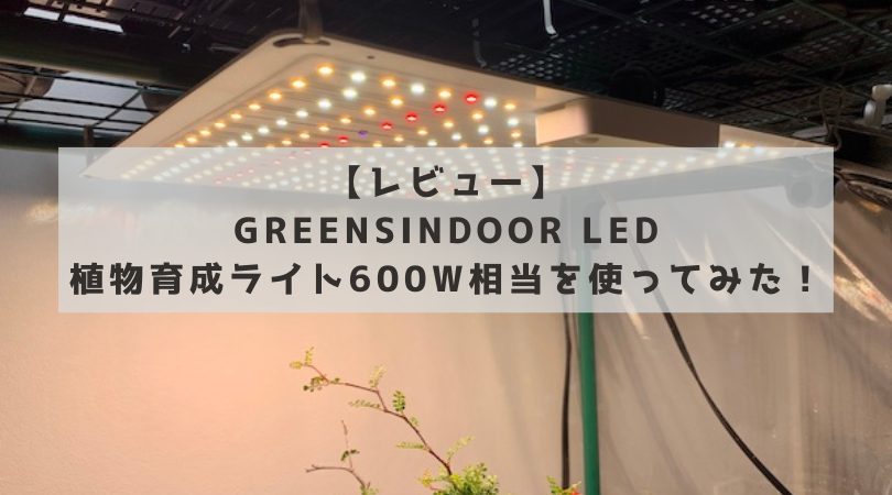 レビュー】GREENSINDOOR LED植物育成ライト600W相当が思った以上