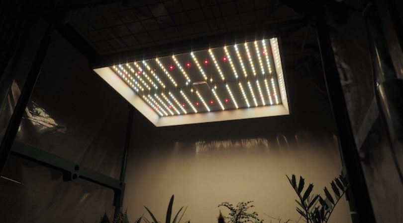 すー　Mars Hydro マーズハイドロ　TS1000 植物育成LED mqdefault.jpg